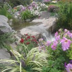 Լիռիոպե, Лириопе, Liriope