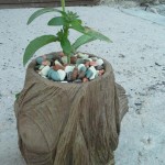 image-0965e110941fc1c50bd52f53d88d039211430c3b7ad6835b5309f8e9aa76bf3f-V