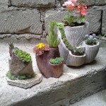 image-17ab7aff65ce57df3d54b896e9d53fb4212f57410504bc773b32862187269138-V