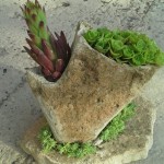 image-182a287c21d722243bea64020d85e893a0f7a60a3d1b691b63c71ed2b8d50f8c-V