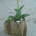 image-2a19410aa183b7d945ea7ca3797736ef3d4af0a7a96f34c302cdc29245744369-V