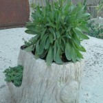 image-2f49cdb26075565cdeb547a84cf2c0ca0a6a7354e2fc9728307351a51d854673-V