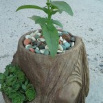 image-36306e01c01a689197f11f45e9d8f8f830ed487fbfc613f77cf5331db00a61e9-V