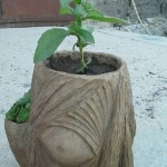 image-37e9fabfdd2de8e6adc1ec0df9b1e128a4facaf095ebb48ff17d409d7a694be5-V