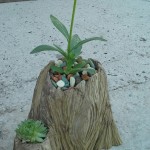 image-3b4bec40351d9e7b67376c5ea955d96aa9e157855f49eac4b5b471a4653c21f5-V