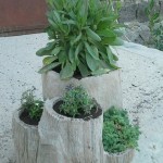 image-cbd0602aba5ebb47d38c9f4a26745439f7a3ab684e331434edf1614652bbf55d-V