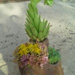 image-cd9afa627fb45df9bb0454edcc2079c8dc828ee003893fa465c6441b168f1164-V