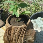 image-e8004dd68eb64217dbe483b8d6d5d6f4ec5a33f076db784fe7bcb99f7e2dc7fe-V