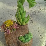 image-edad238caab71eaadb81f60a8a0b759d0463b14c5a2dd5f0a9ccf69371ff98a5-V