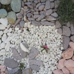 20140405_104908 - Copy