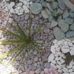 20140405_104947 - Copy