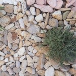 20140405_105108 - Copy