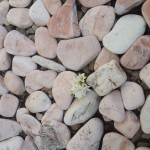 20140405_110659 - Copy