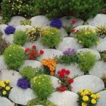 388983_362495903821958_1165092527_n